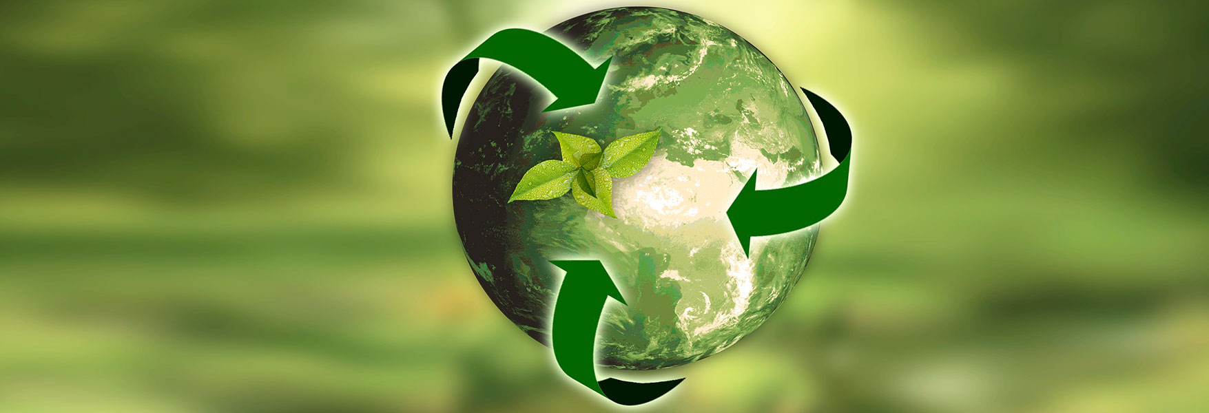 ¡El medio ambiente también es nuestra prioridad en SigmaQ!